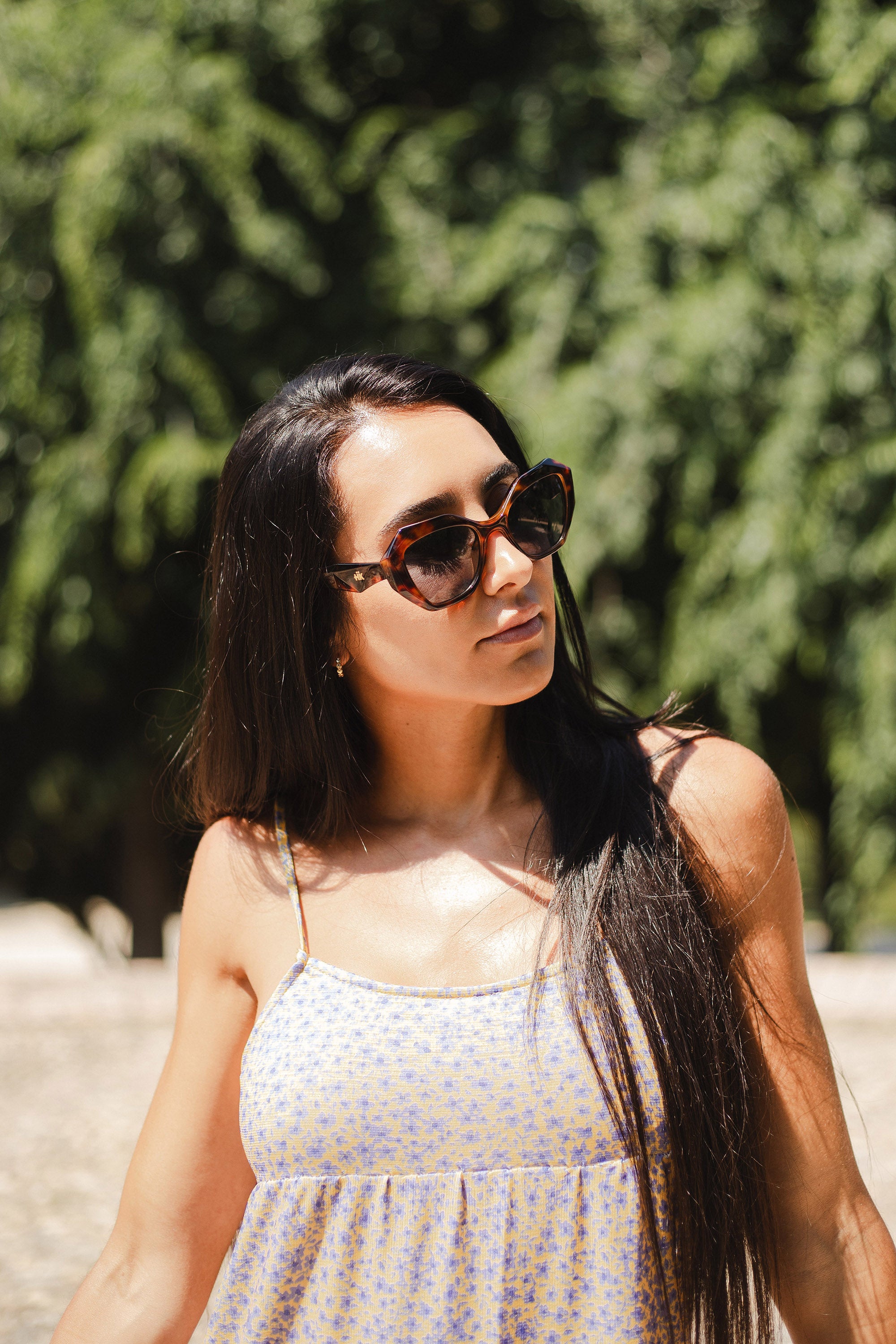 Moorea Tortoise / Black