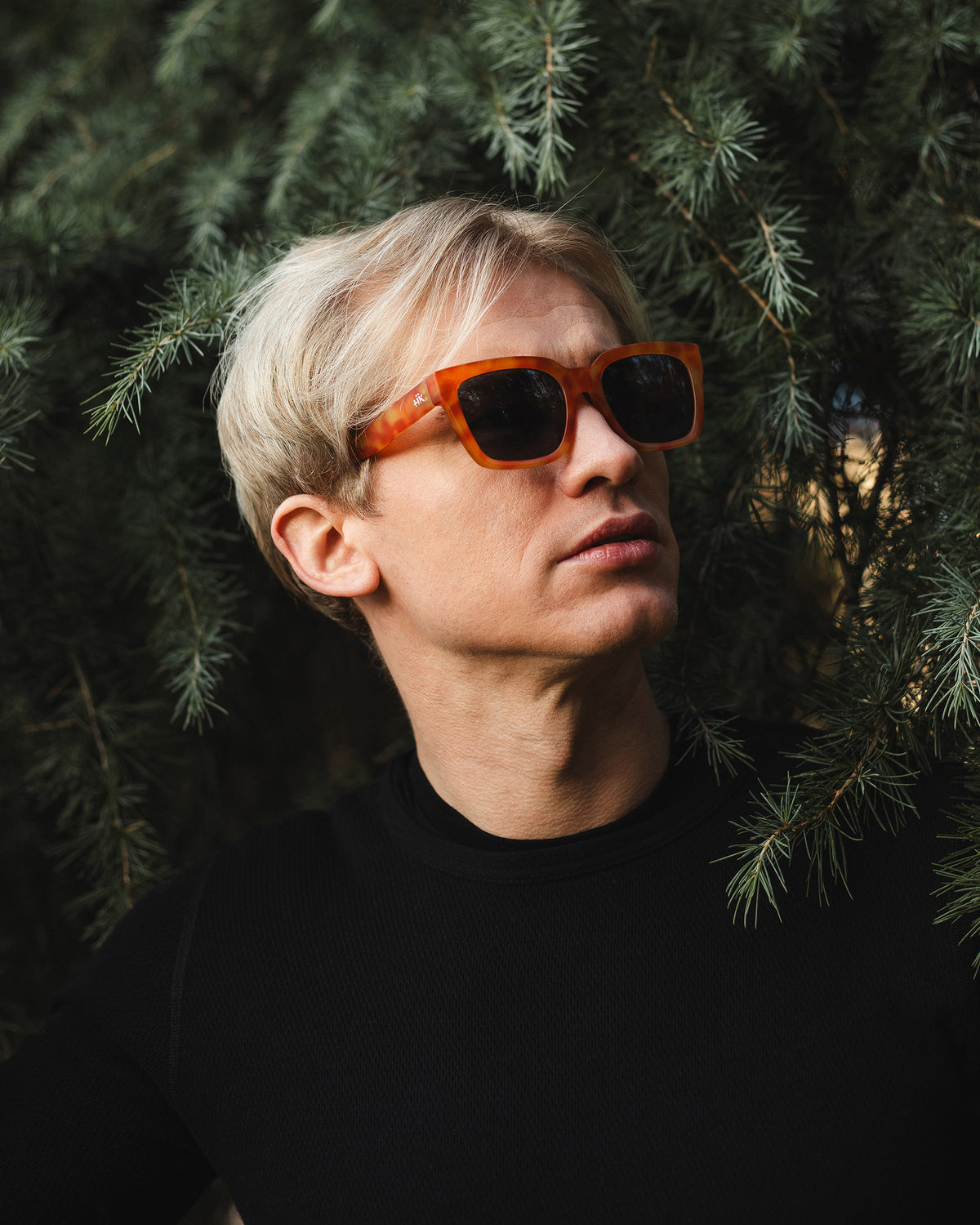Noosa Tortoise / Black