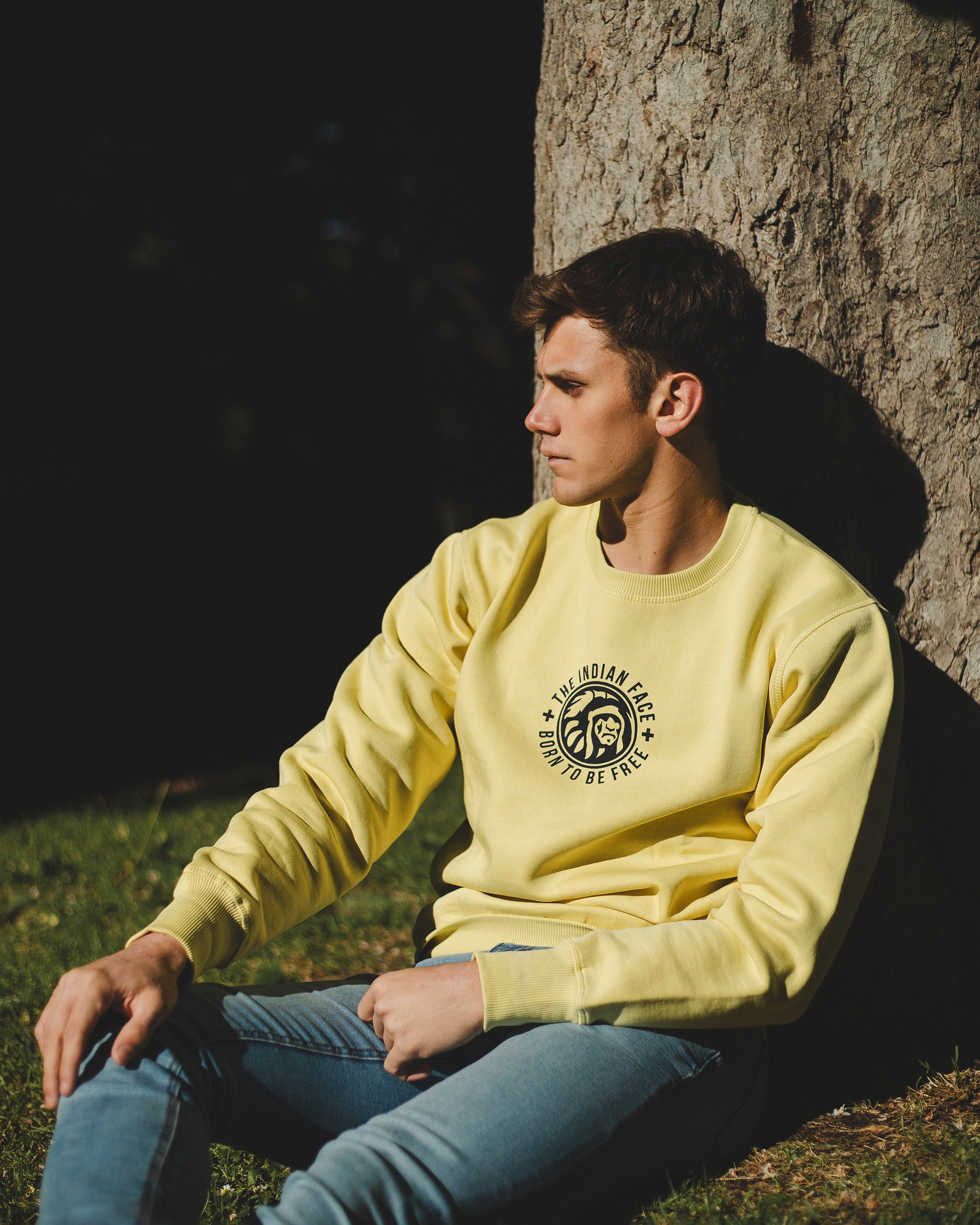 Spirito giallo