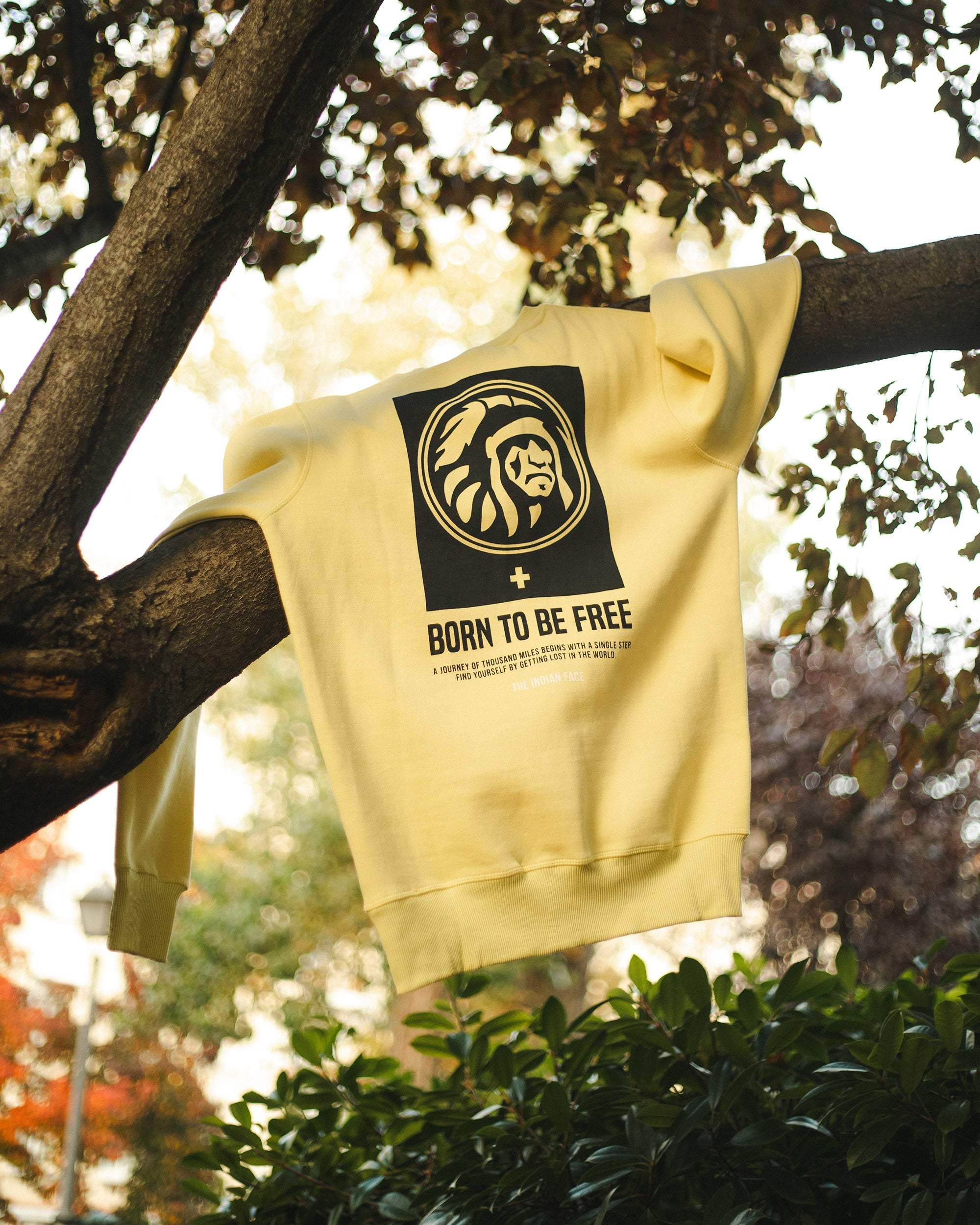 Jaune nomade