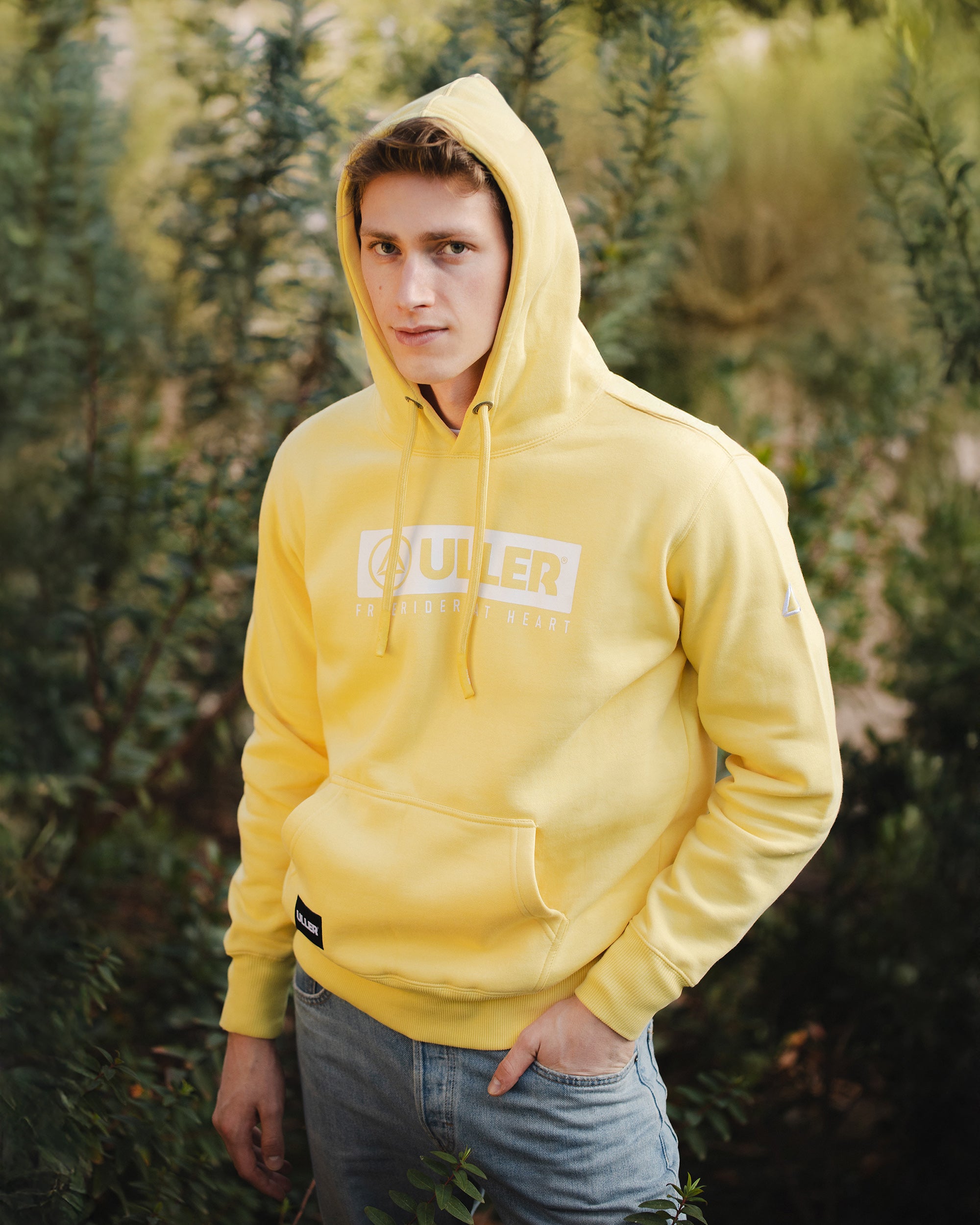 Jaune classique