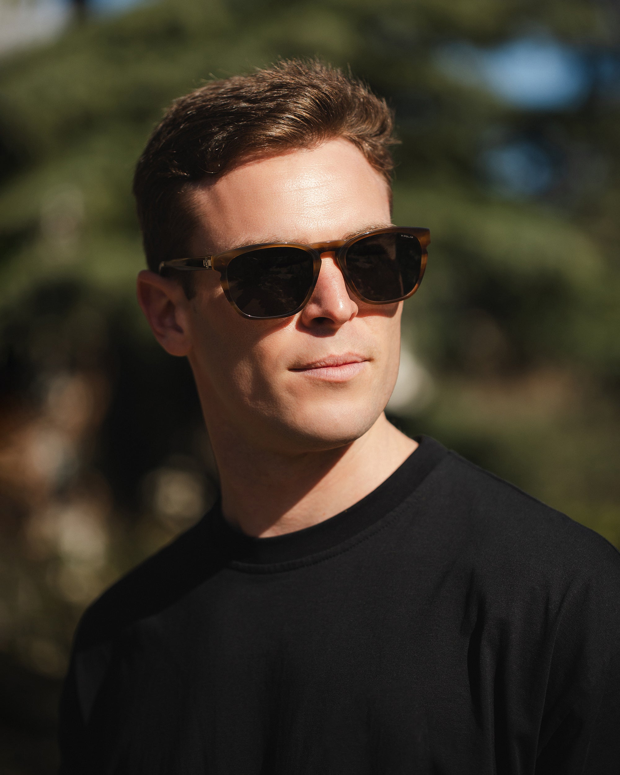 North Is Brown Tortoise / Black