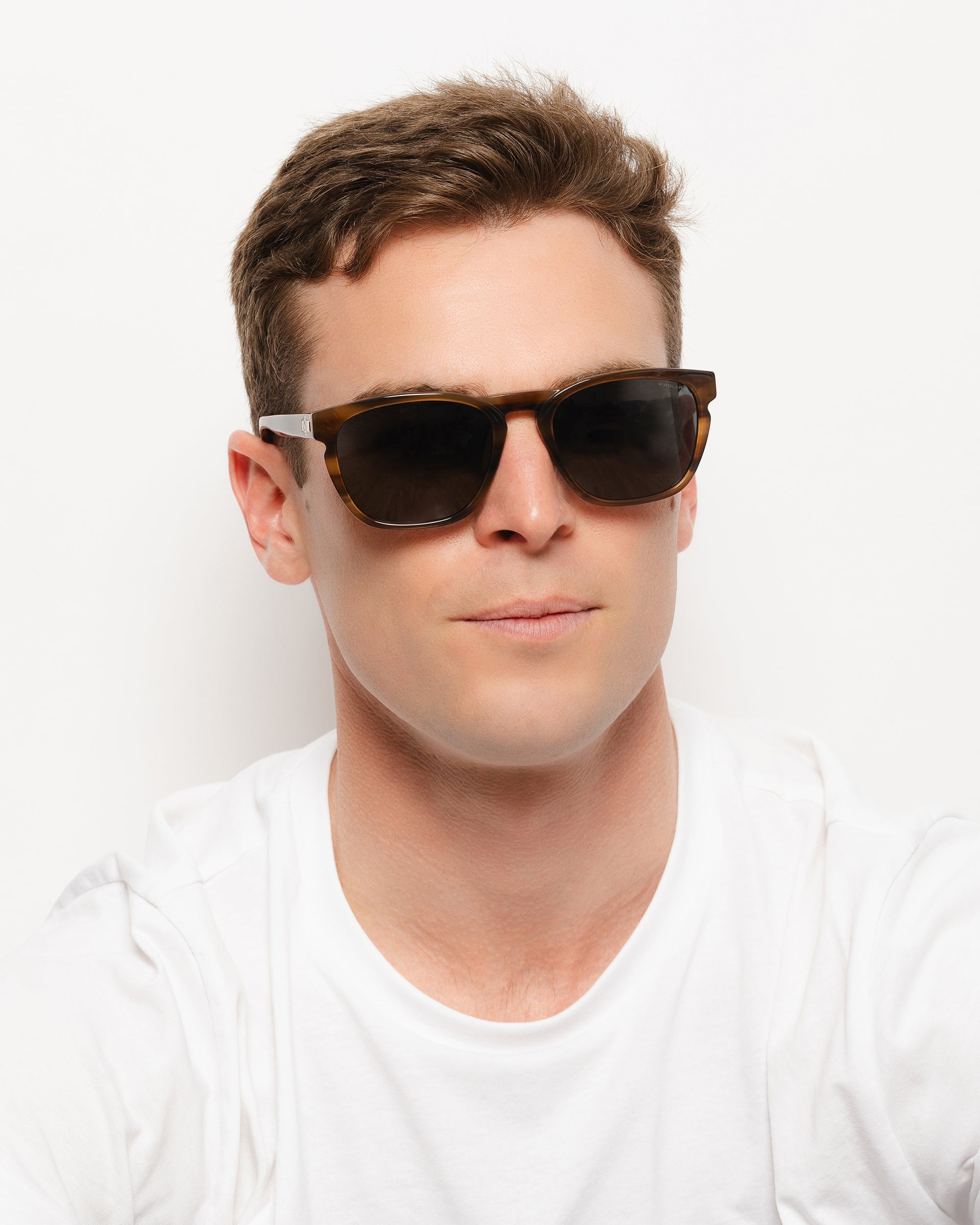 North Is Brown Tortoise / Black