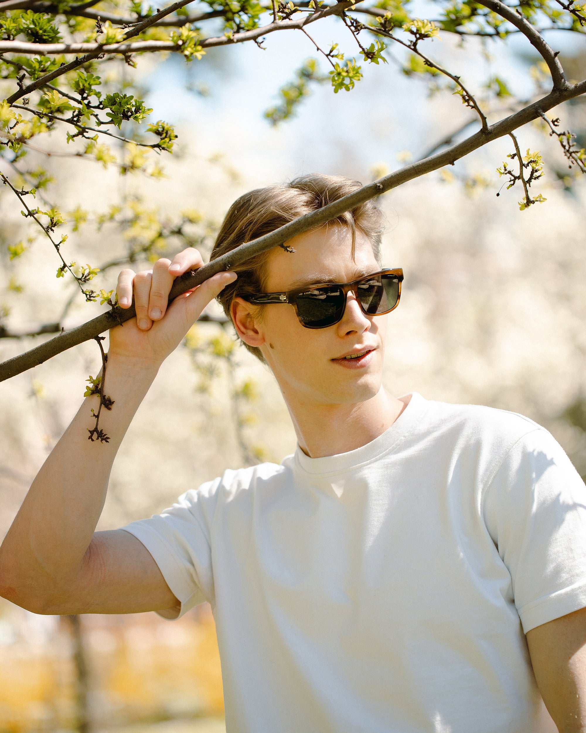 Ushuaia Brown Tortoise / Black