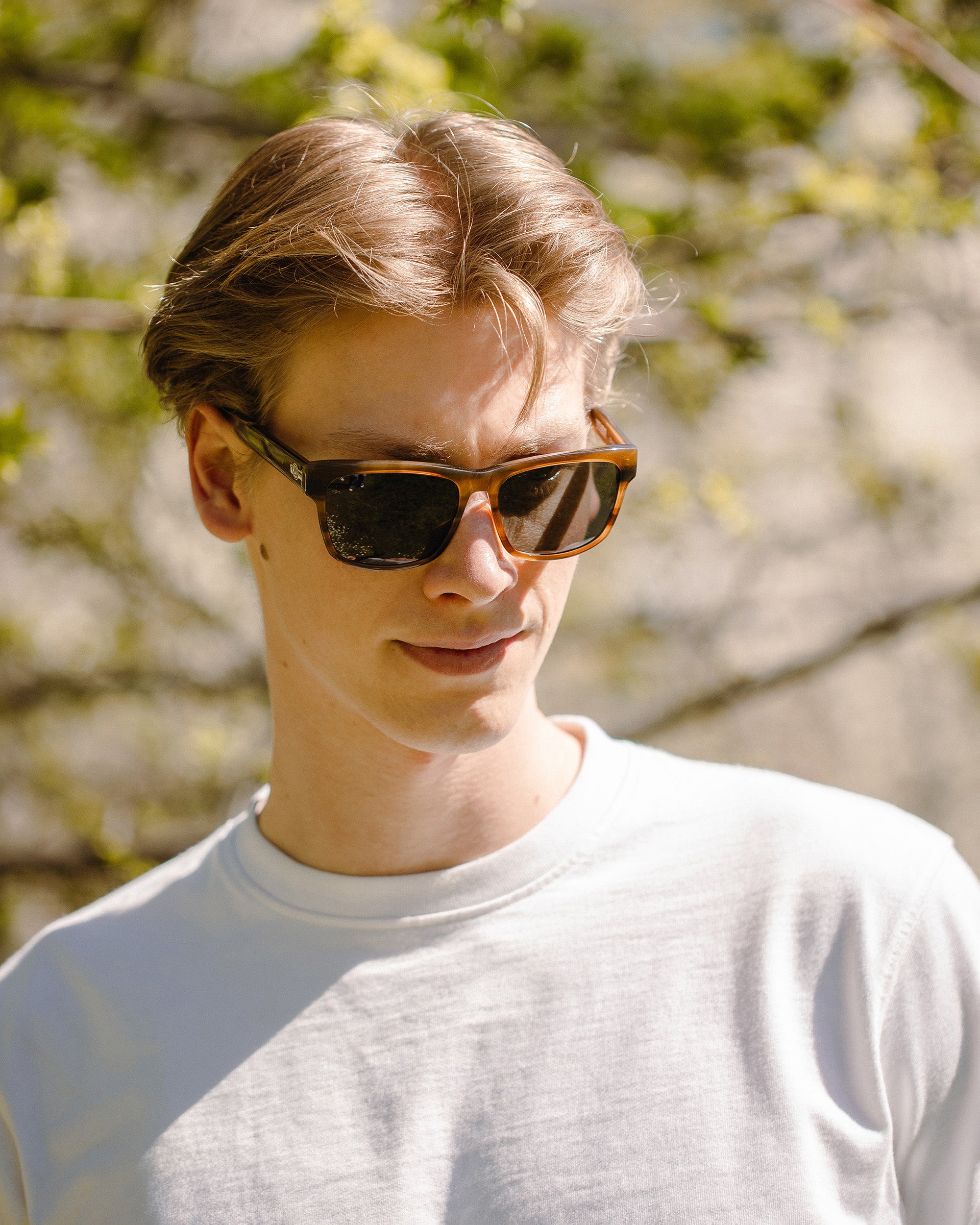 Ushuaia Brown Tortoise / Black