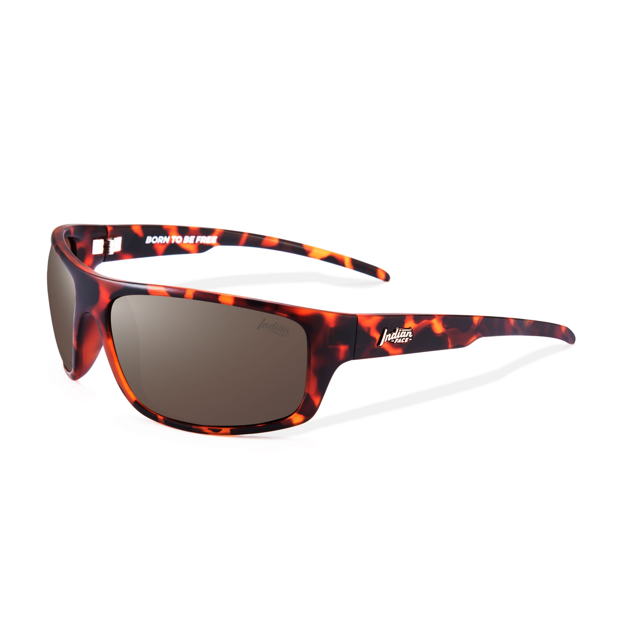 Gafas de Sol Polarizadas Outbreak Tortoise Brown 24 026 05 - Gafas de Sol Hombre - Gafas de Sol Mujer