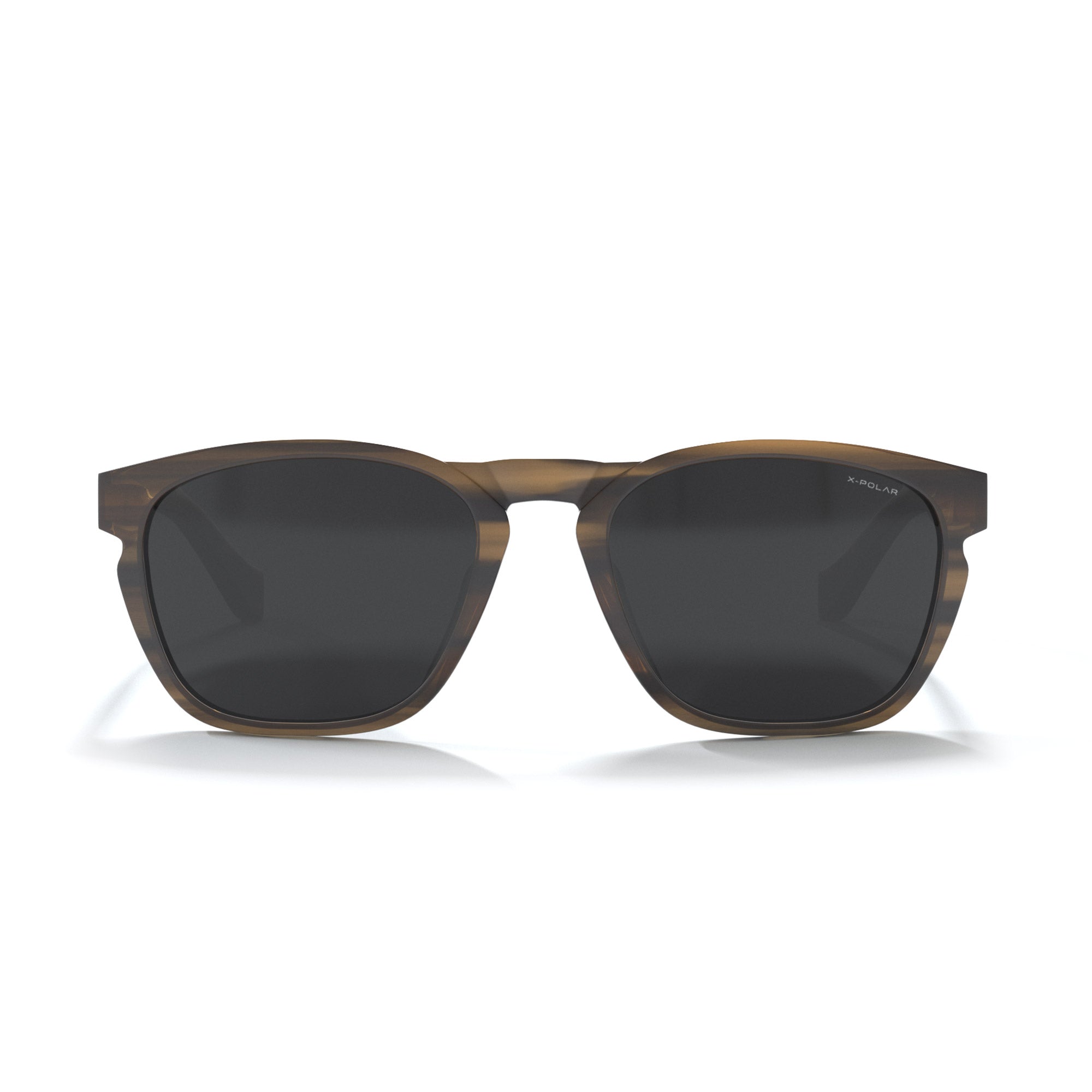 North Is Brown Tortoise / Black