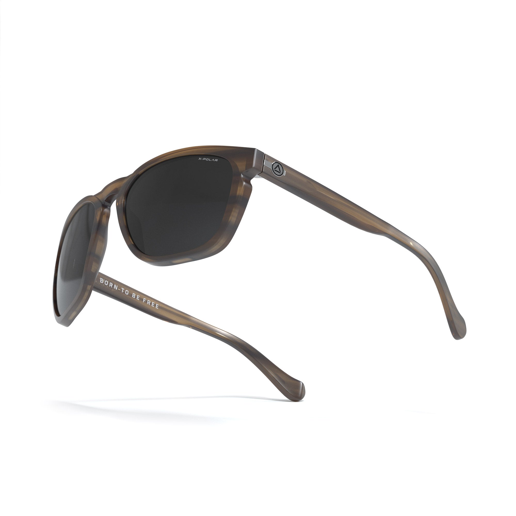 North Is Brown Tortoise / Black