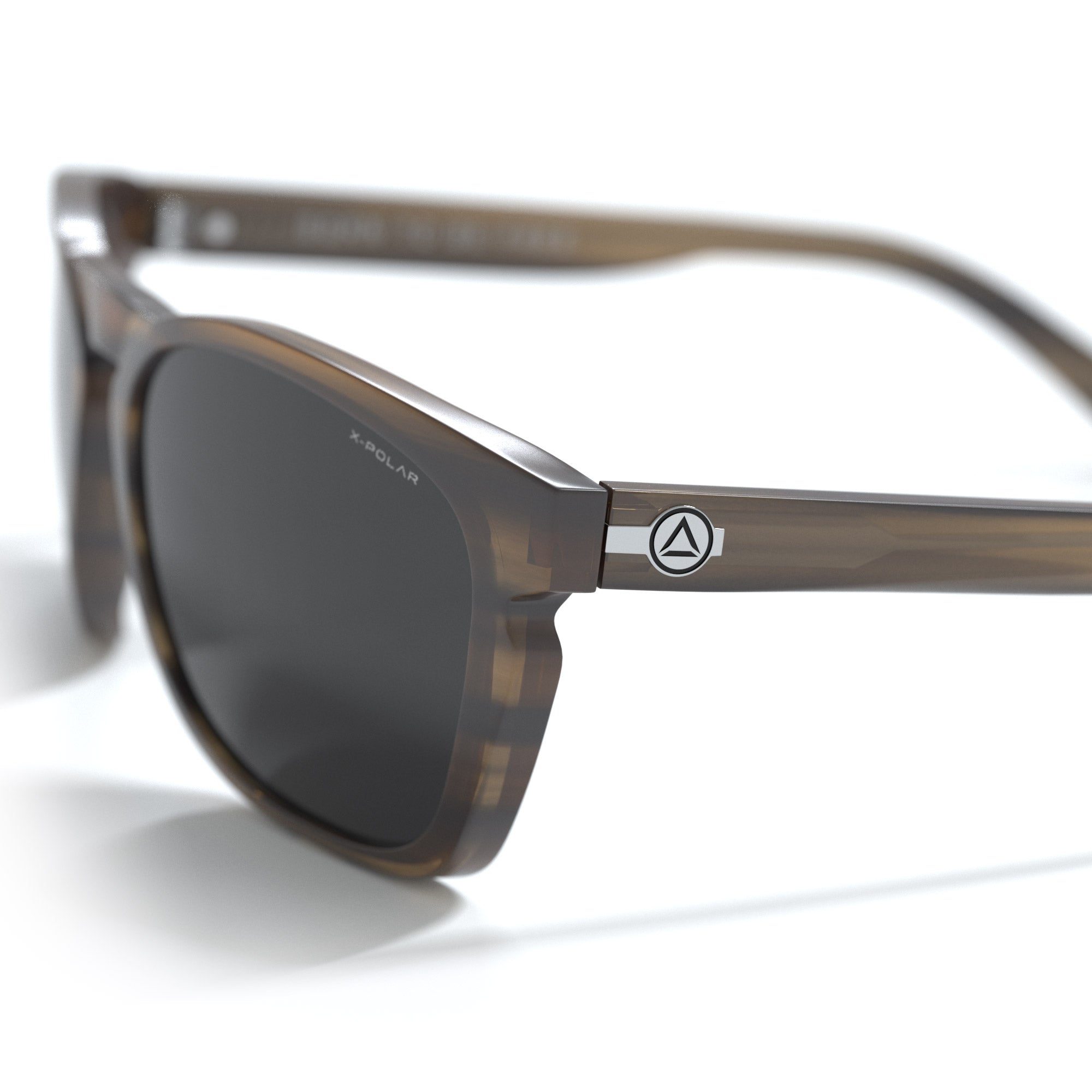 North Is Brown Tortoise / Black
