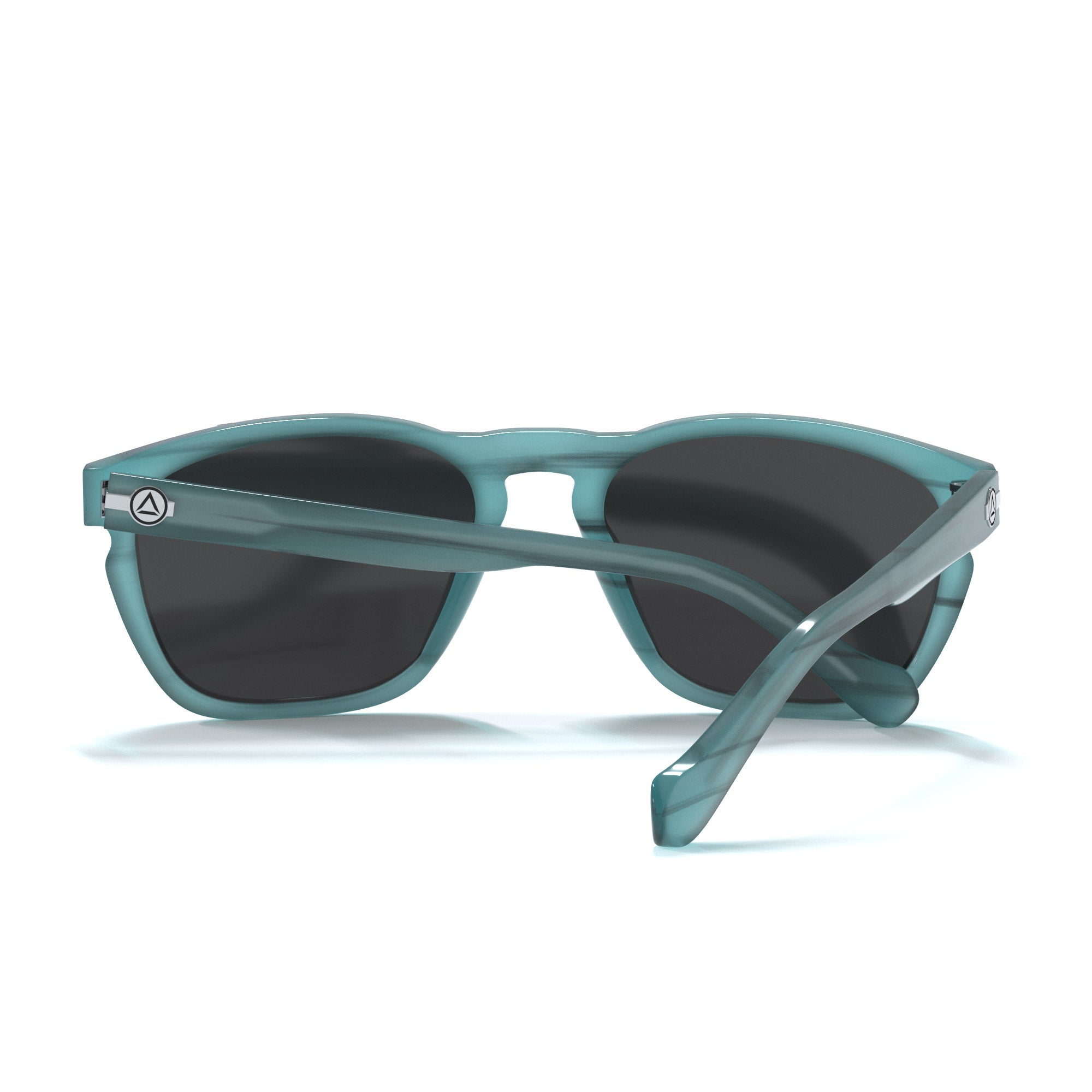 North Is Blue Tortoise / Black