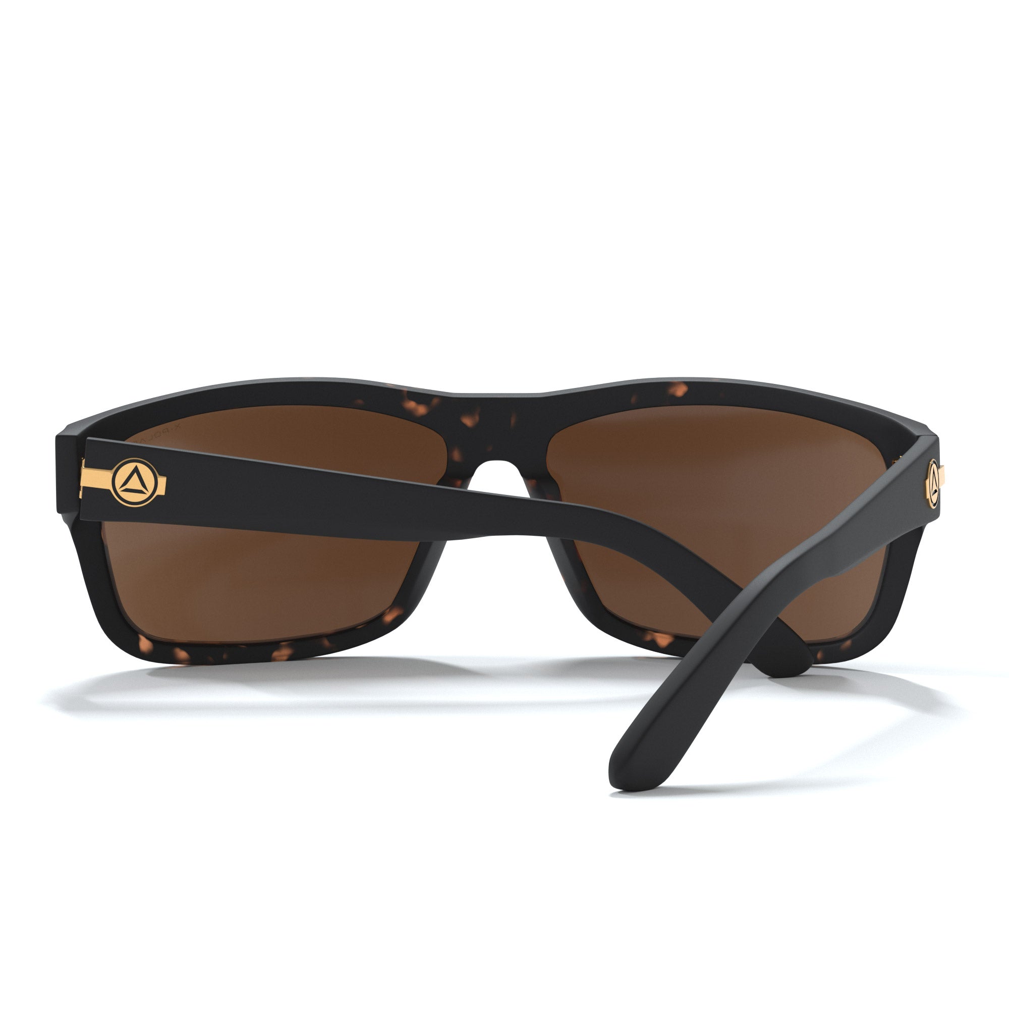 Tortue noire alpine / marron