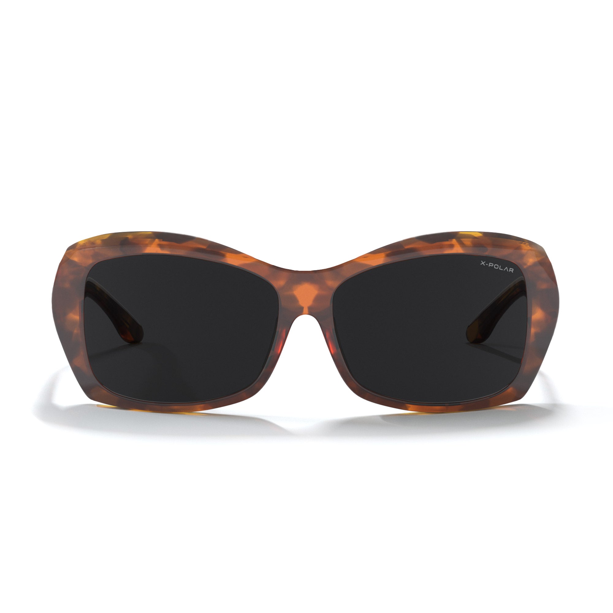 Atlas Brown Tortoise / Black