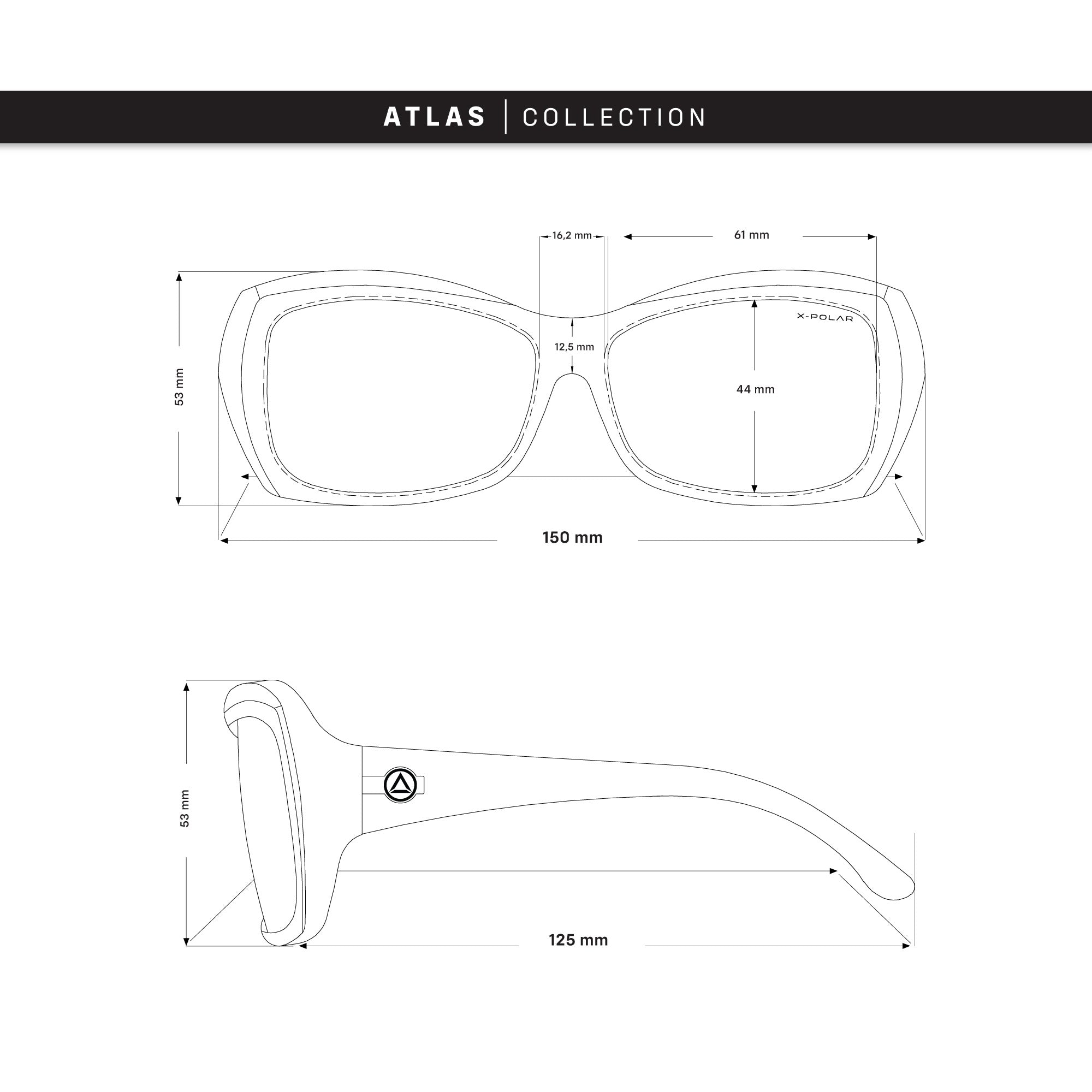 Atlas Brown Tortoise / Black