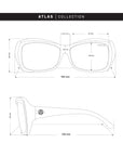Atlas Brown Tortoise / Black