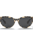 Tortoise brune brune / plage noire