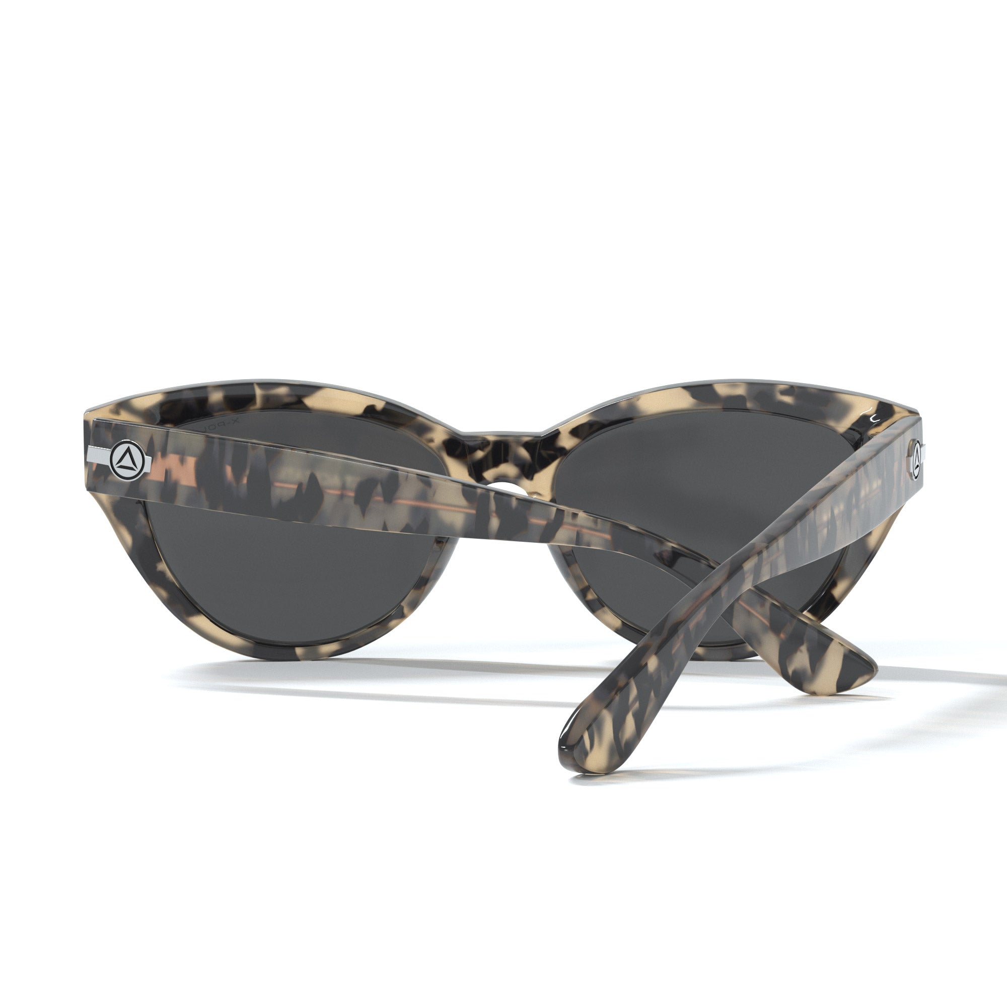Tortoise brune brune / plage noire